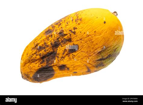 Rotten Mango.